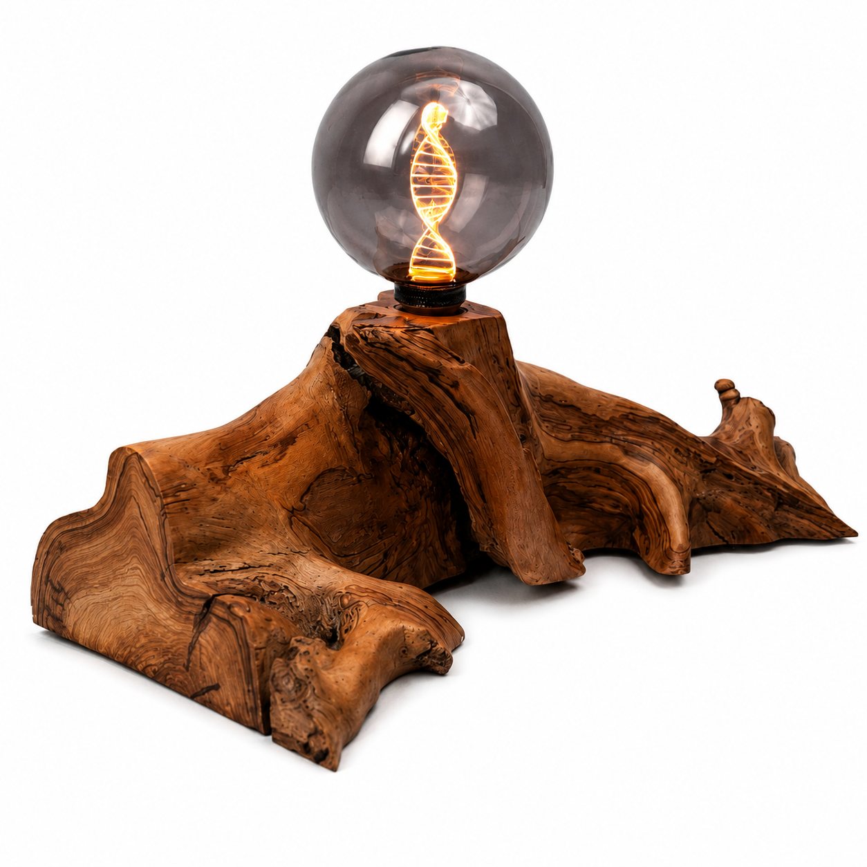 Bespoke Wild Olive Wood Lamp