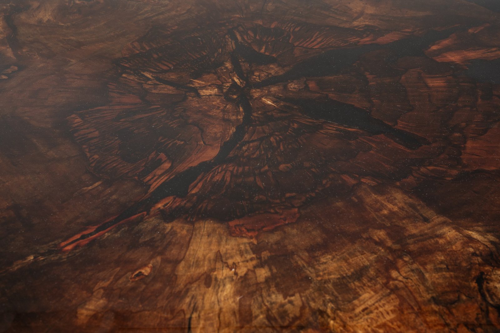 Brazilian Peppercorn tree statement table