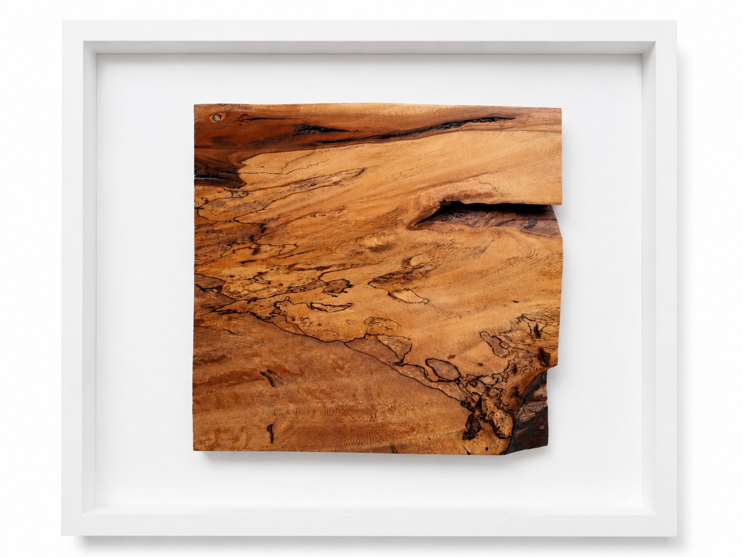 Mexican Peppercorn Wood Triptych Wall Art Set
