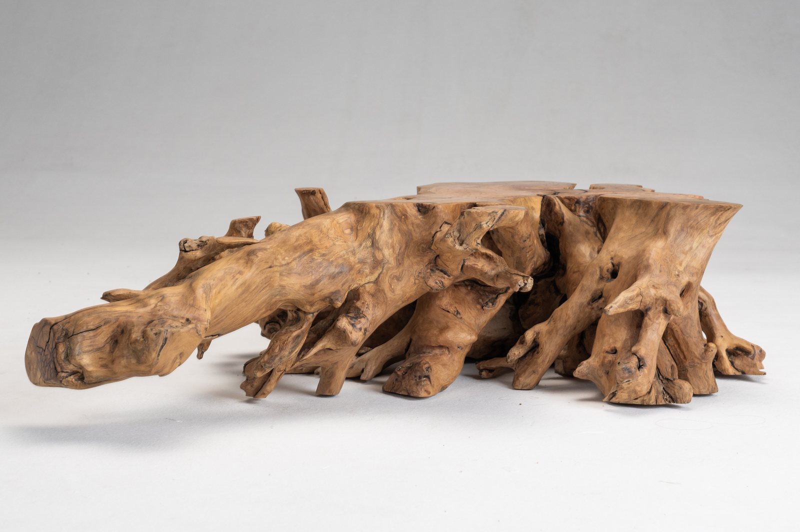 Wild Olive Root Sculpture