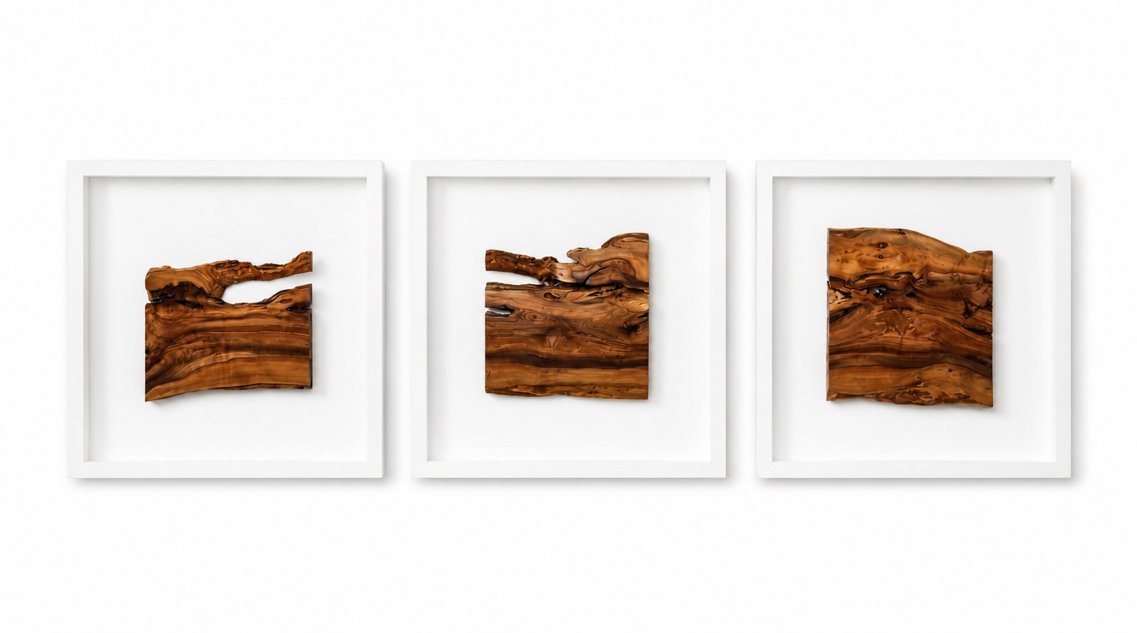Wild Olive Wood Triptych Wall Art Set I